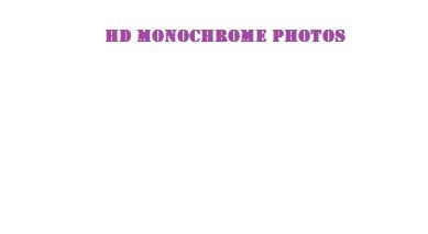 HD Monochrome Photos HD Photos